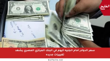 سعر الدولار أمام الجنيه اليوم في البنك المركزي المصري يشهد تغييرات جديدة